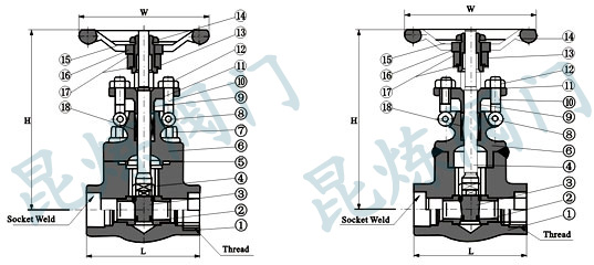 Z11H��Z61H���l�y�Y���D- �Ϻ������y�T�������޹�˾